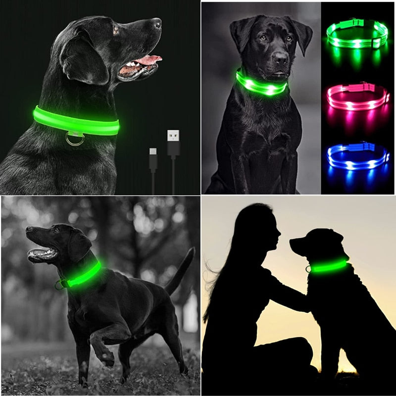 Led collar for pets