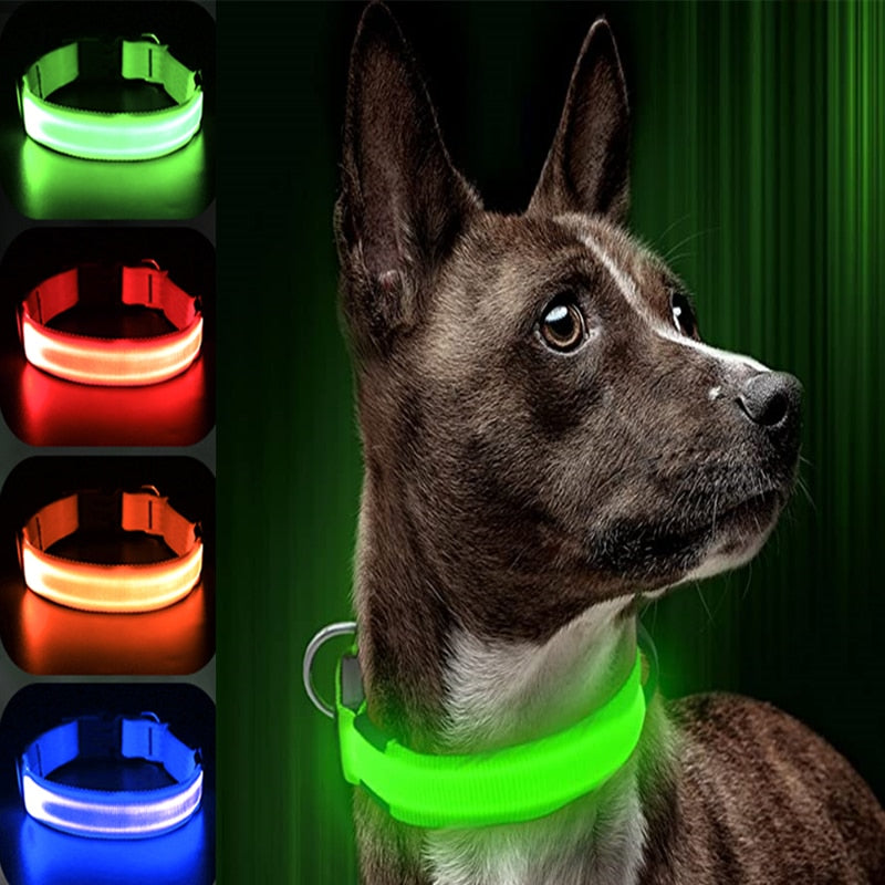 Led collar for pets