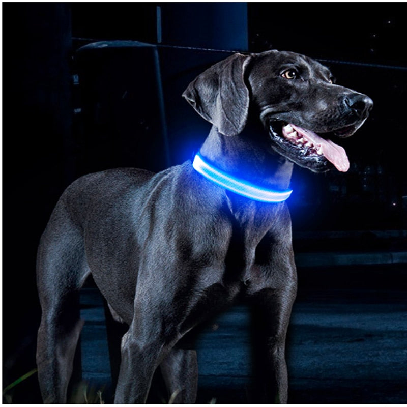 Led collar for pets